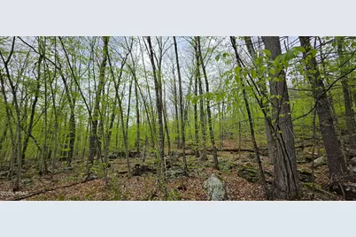 Lot 23.21 State Route 97, Narrowsburg, NY, NY 12764 - Photo 19