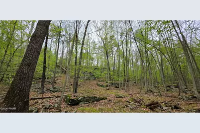 Lot 23.21 State Route 97, Narrowsburg, NY, NY 12764 - Photo 11