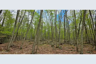 Lot 23.21 State Route 97, Narrowsburg, NY, NY 12764 - Photo 17
