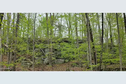 Lot 23.21 State Route 97, Narrowsburg, NY, NY 12764 - Photo 13