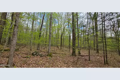 Lot 23.21 State Route 97, Narrowsburg, NY, NY 12764 - Photo 7