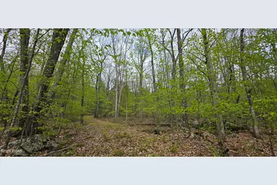 Lot 23.21 State Route 97, Narrowsburg, NY, NY 12764 - Photo 3