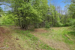 103 Forever Green Rd, Lakeville, PA 18438 - Photo 29