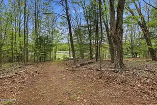 103 Forever Green Rd, Lakeville, PA 18438 - Photo 49