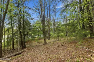 103 Forever Green Rd, Lakeville, PA 18438 - Photo 33