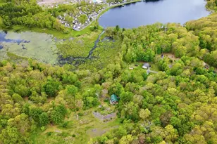 103 Forever Green Rd, Lakeville, PA 18438 - Photo 135
