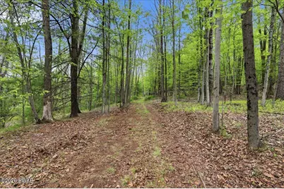 103 Forever Green Road, Lakeville, PA 18438 - Photo 51