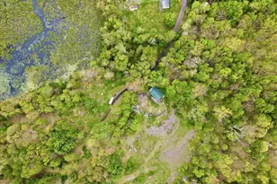 103 Forever Green Rd, Lakeville, PA 18438 - Photo 137