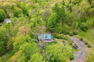 103 Forever Green Rd, Lakeville, PA 18438 - Photo 63