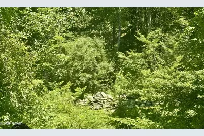 Lot 1 Owego Turnpike, Hawley, PA 18428 - Photo 1