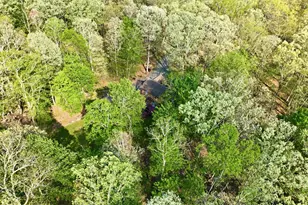 121 Dogwood Ln, Canadensis, PA 18325 - Photo 73
