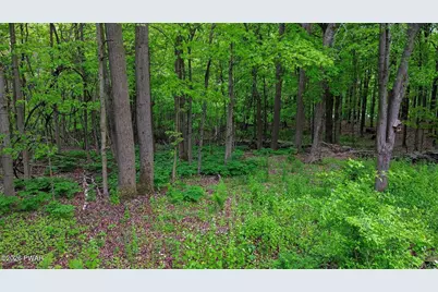 307 Stoney Creek Road, South Abington, PA 18411 - Photo 69