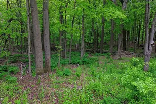 307 Stoney Creek Rd, South Abington, PA 18411 - Photo 69