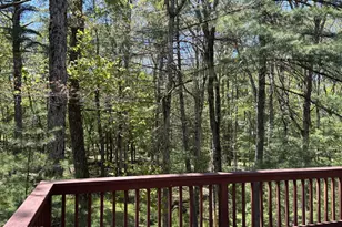 116 Beach Ln, Dingmans Ferry, PA 18328 - Photo 47