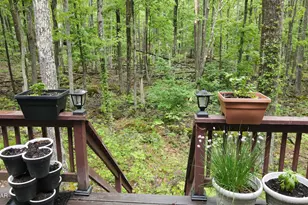 232 Basswood Dr, Lords Valley, PA 18428 - Photo 11