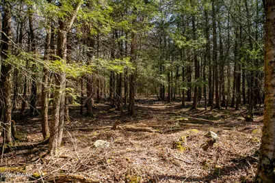 39 and 40 Rocky Swamp Rd 39, Pocono Lake, PA 18347 - Photo 15