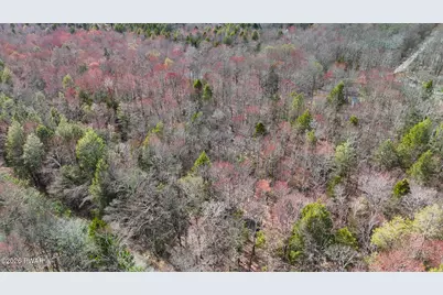 39 and 40 Rocky Swamp Rd 39, Pocono Lake, PA 18347 - Photo 29