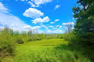1298 Creamton Dr, Honesdale, PA 18431 - Photo 13