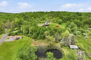 15 De Maio Dr, Equinunk, PA 18417 - Photo 63