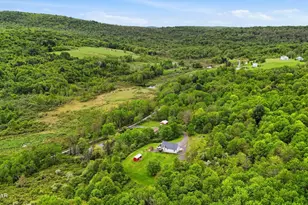 15 De Maio Dr, Equinunk, PA 18417 - Photo 57
