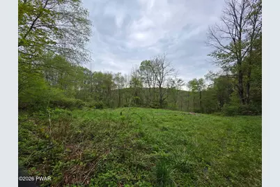 33 Bucks Road, Susquehanna, PA 18847 - Photo 3
