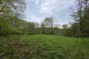 33 Bucks Rd, Susquehanna, PA 18847 - Photo 3