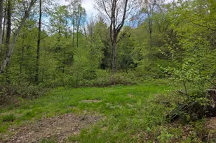 33 Bucks Rd, Susquehanna, PA 18847 - Photo 17