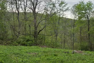 33 Bucks Rd, Susquehanna, PA 18847 - Photo 19