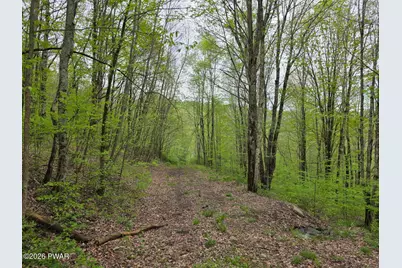 33 Bucks Road, Susquehanna, PA 18847 - Photo 13