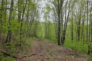 33 Bucks Rd, Susquehanna, PA 18847 - Photo 13