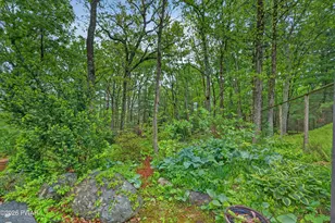 220 Kinsale Ln, Dingmans Ferry, PA 18328 - Photo 57