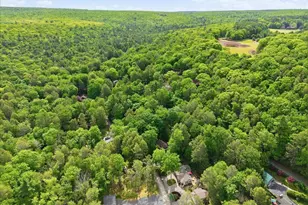 123 Timber Trail, Greentown, PA 18426 - Photo 69