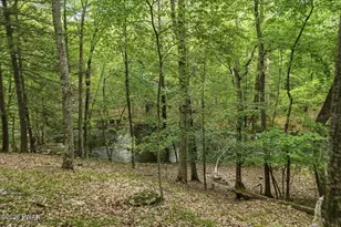 5926 Decker Rd, Bushkill, PA 18324 - Photo 45