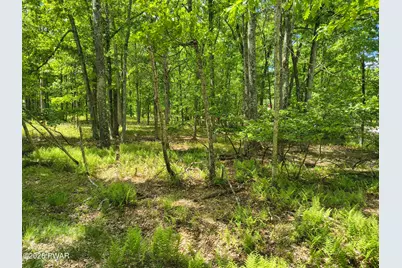 329 Oak Hill Road, Hawley, PA 18428 - Photo 9