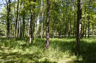 478 Gravity Rd, Lake Ariel, PA 18436 - Photo 17