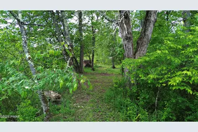 94 E Swamp Road, Pleasant Mount, PA 18453 - Photo 25