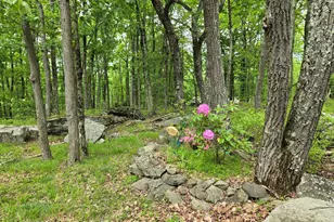 804 Fetlock Ct, Lords Valley, PA 18428 - Photo 17