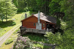241 Dillontown Rd, Equinunk, PA 18417 - Photo 45