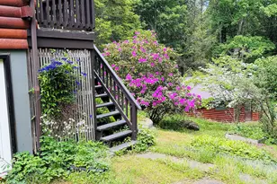 241 Dillontown Rd, Equinunk, PA 18417 - Photo 5