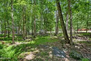 149 Rainbow Dr, Lackawaxen, PA 18435 - Photo 77
