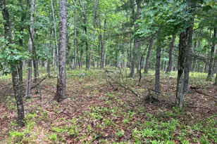 Lot 13 Ledgecrest Rd, Hawley, PA 18428 - Photo 1