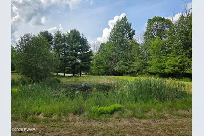 1358 Great Bend Turnpike, Pleasant Mount, PA 18453 - Photo 41