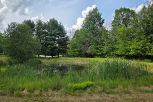 1358 Great Bend Turnpike, Pleasant Mount, PA 18453 - Photo 41