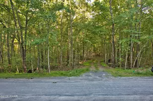 102 White Birch Dr, Hawley, PA 18428 - Photo 1