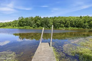 133 Wynooska Rd, Greentown, PA 18426 - Photo 23