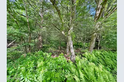 61 Murphy Hill Road, Pleasant Mount, PA 18453 - Photo 65