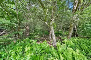 61 Murphy Hill Rd, Pleasant Mount, PA 18453 - Photo 65