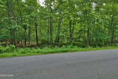 247 Water Forest Drive, Dingmans Ferry, PA 18328 - Photo 3