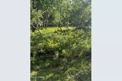 Lot 74 Bear Drive, Bushkill, PA 18324 - Photo 3