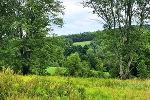 14 Bush Rd, Damascus, PA 18415 - Photo 27